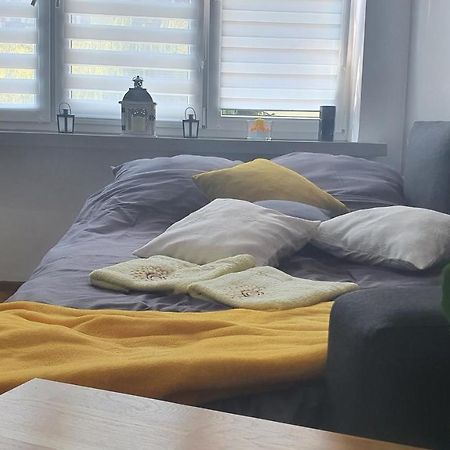 Apartament Park Saski Sandomir Extérieur photo