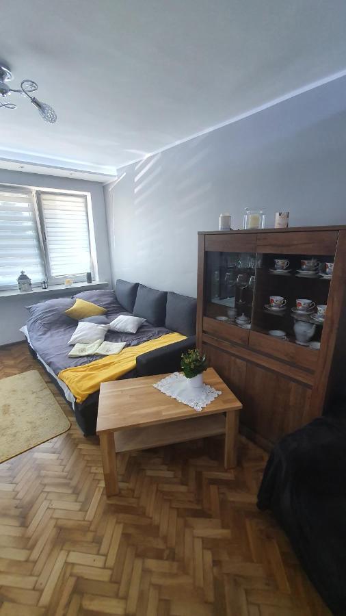 Apartament Park Saski Sandomir Extérieur photo