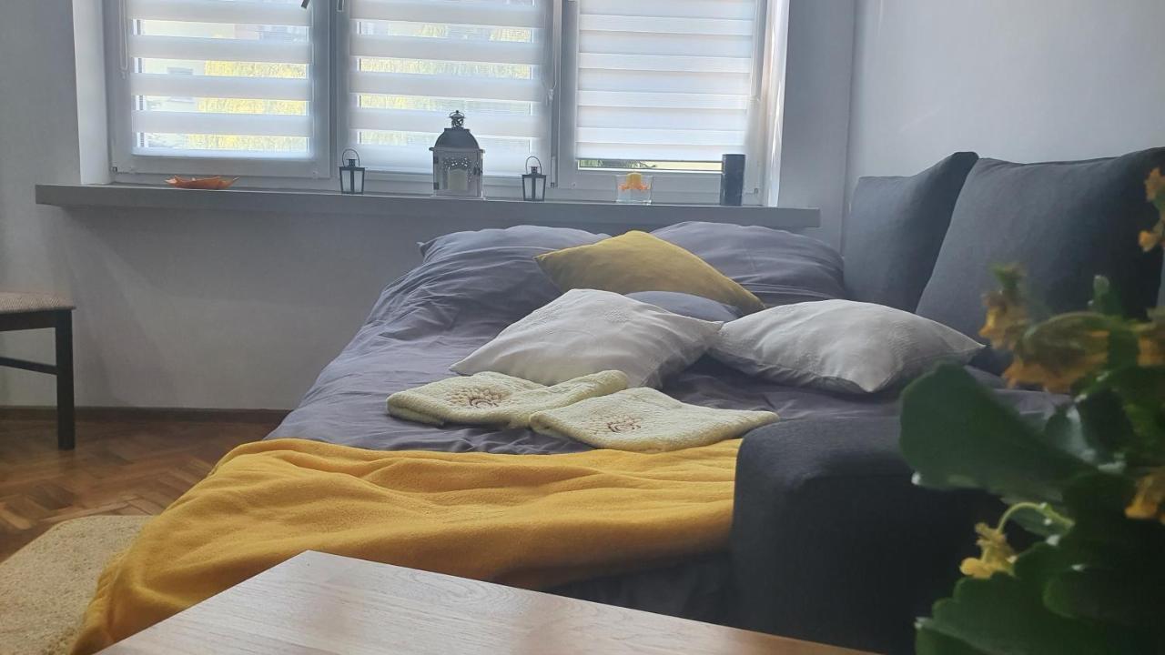 Apartament Park Saski Sandomir Extérieur photo