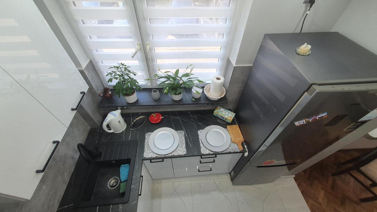 Apartament Park Saski Sandomir Extérieur photo